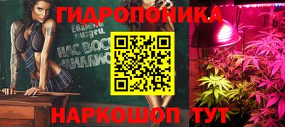 прущие крисы Тулун