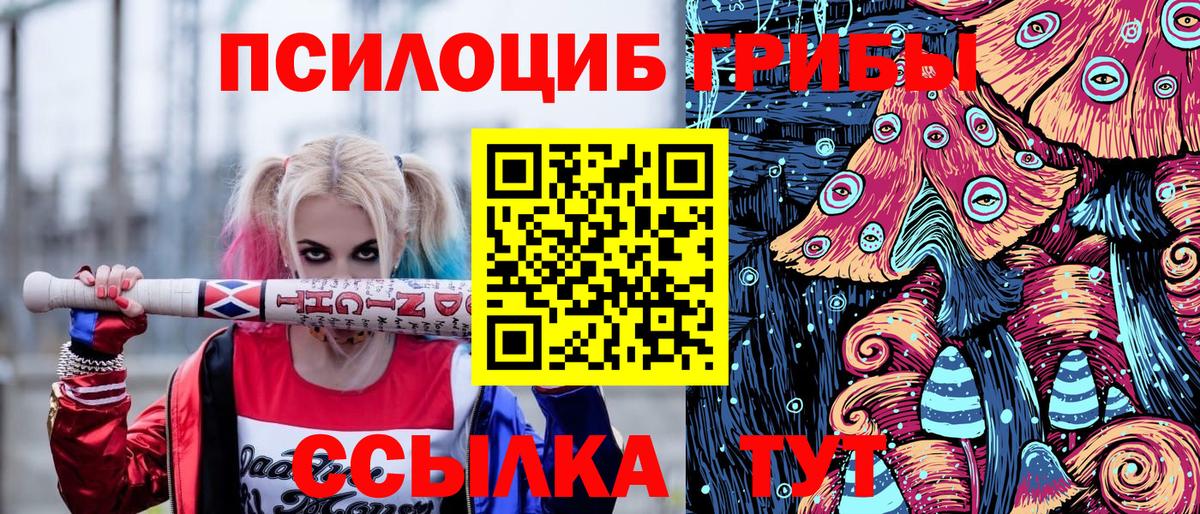 Псилоцибиновые грибы ЛСД  Вход с VPN  Псилоцибиновые грибы мицелий  Нерюнгри 
